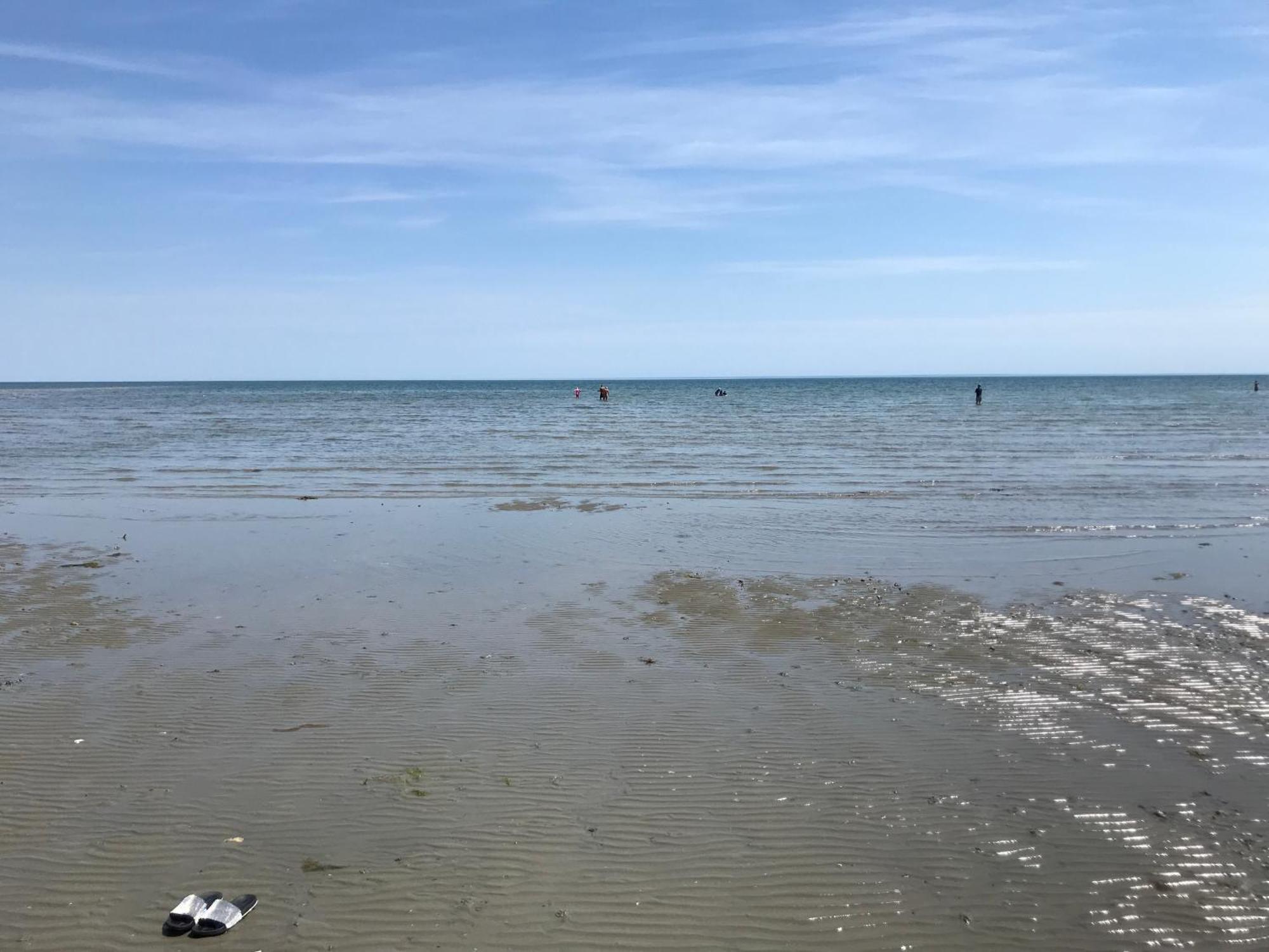 Stay At 'The Elms' In Tranquil Church Norton, Selsey - Ground Floor Bedroom, Own Private Bathroom, Quiet Beach, 2 Acre Garden By The Sea, On Edge Of Wildlife Nature Reserve ภายนอก รูปภาพ